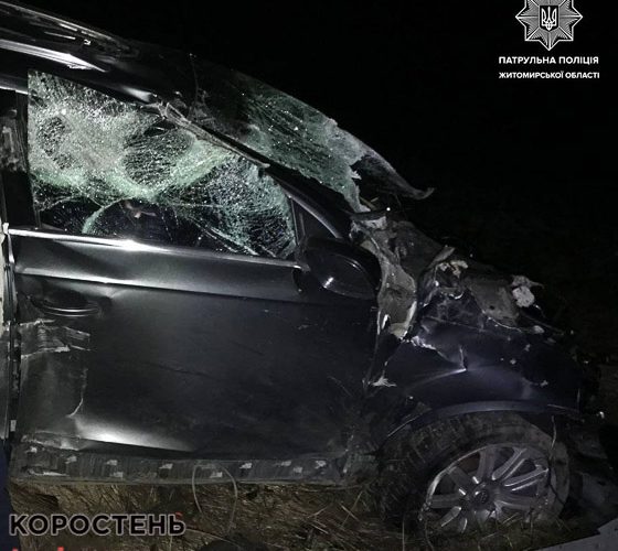 На автодорозі в Коростенському районі Audi врізалася у колесовідбійник та злетіла в кювет