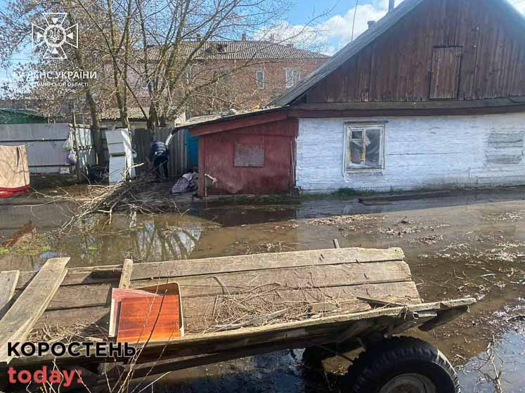У селі Коростенського району згоріли запаси сіна