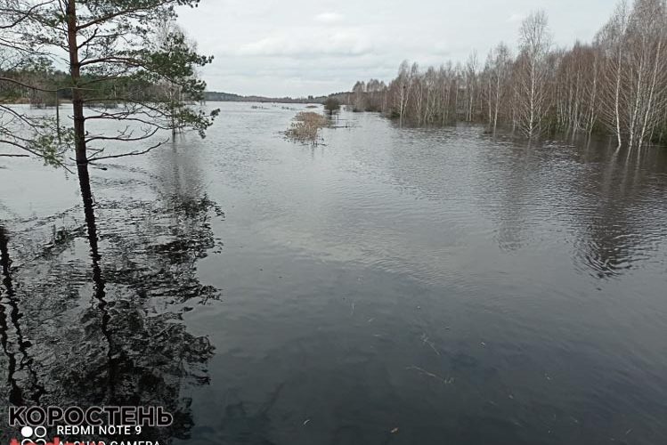 Голова Коростенської РВА розповів, коли відновлять зруйновані паводком переправи