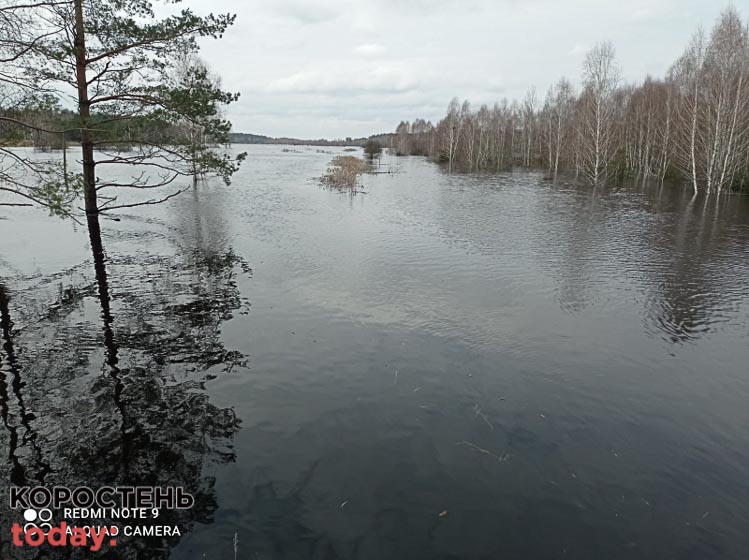 Голова Коростенської РВА розповів, коли відновлять зруйновані паводком переправи