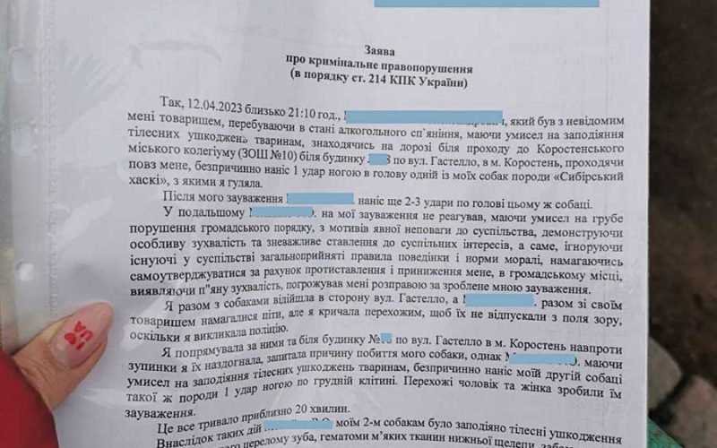 У Коростені неадекватний чоловік побив двох собак, яких вигулювала господарка (ВІДЕО)