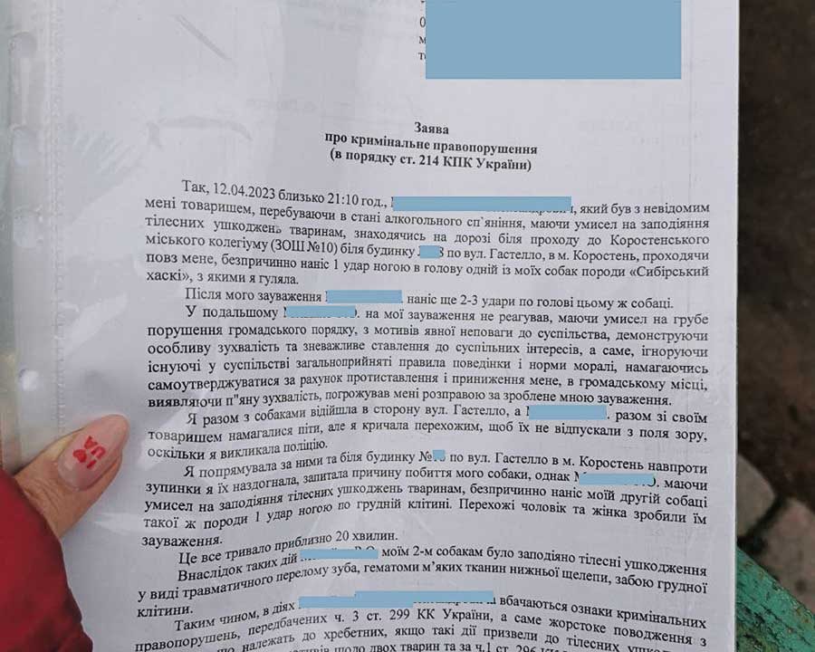 У Коростені неадекватний чоловік побив двох собак, яких вигулювала господарка (ВІДЕО)