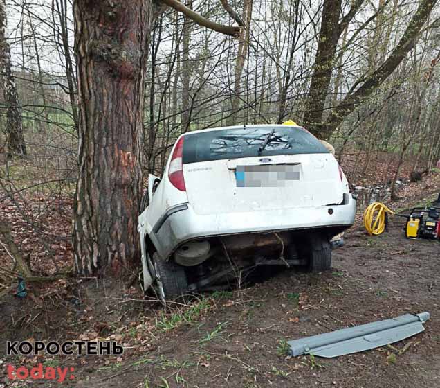 На автодорозі неподалік Коростеня Ford з’їхав у кювет та врізався в дерево: загинула водійка та її син