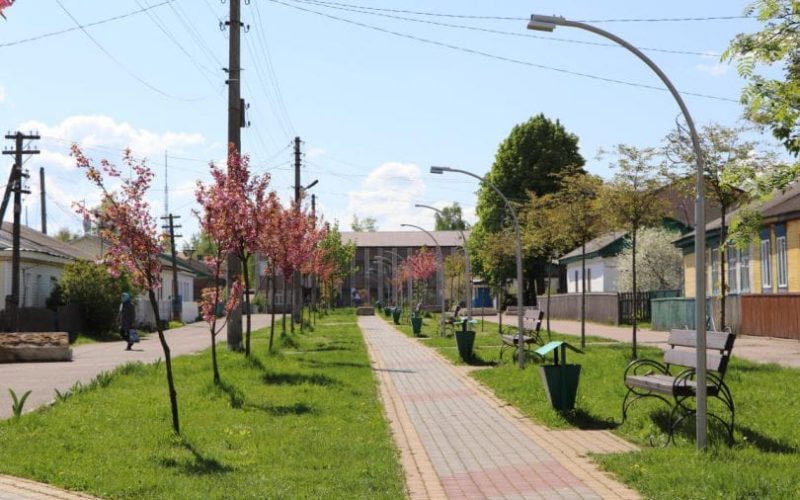 В Олевську розквітли сакури (ФОТОрепортаж)