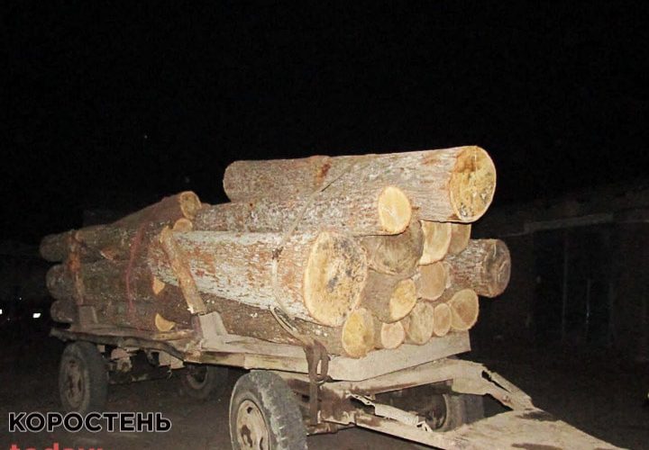 На Олевщині поліцейські виявили два трактори “Білорусь” з деревиною: документів на “товар” водії не мали