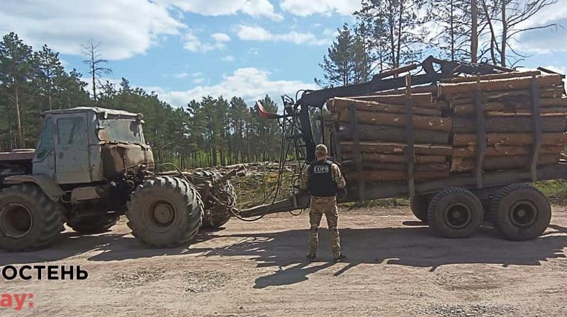 Прикордонники Житомирщини зупинили трактор, що перевозов соснові колоди: водій не мав необхідних документів