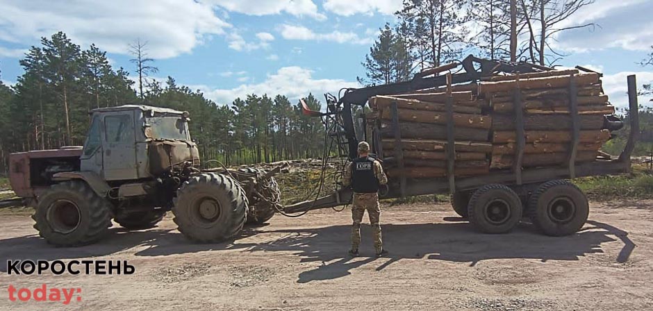 Прикордонники Житомирщини зупинили трактор, що перевозов соснові колоди: водій не мав необхідних документів