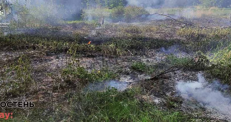 Минулої доби у двох селах Коростенського району рятувальники гасили займання сухостою