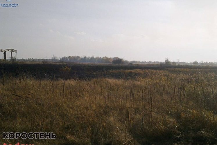Минулої доби в Коростенському районі горіли суха трава, сміття та господарська споруда