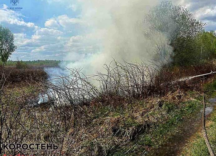 У Коростені горів сухостій, а поблизу одного з сіл Олевської громади – торф
