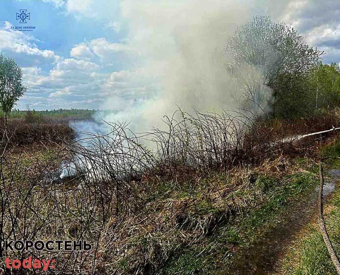 У Коростені горів сухостій, а поблизу одного з сіл Олевської громади – торф