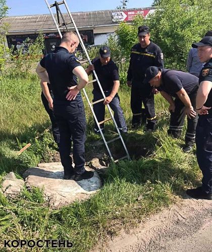 На Олевщині з ливневої каналізації витягнули собаку (ФОТО)