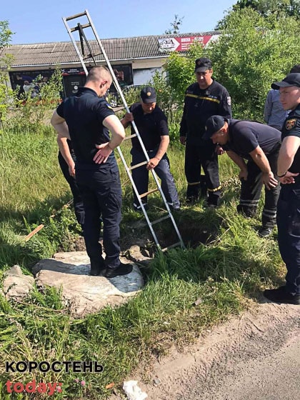 На Олевщині з ливневої каналізації витягнули собаку (ФОТО)