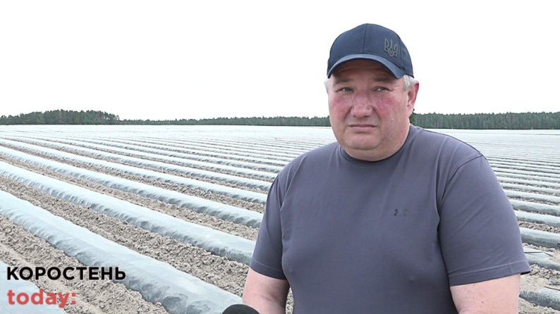 На території Малинської громади підприємець з Харківщини вирощує малину, суницю та сезонні овочі