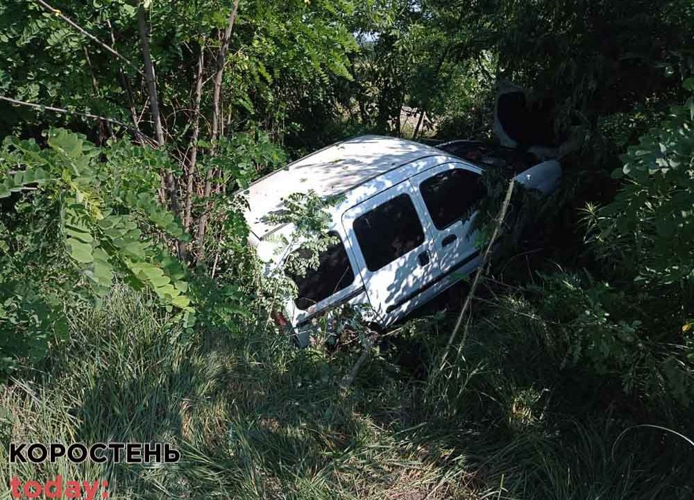 На трасі в Житомирській області Renault з’їхала в кювет: постраждала жінка та двоє дітей