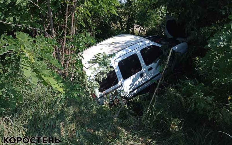 На трасі в Житомирській області Renault з’їхала в кювет: постраждала жінка та двоє дітей