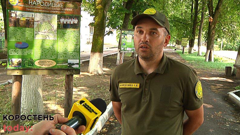 Пожежу не могли загасити впродовж року – наслідки російських обстрілів у заповіднику на Коростенщині