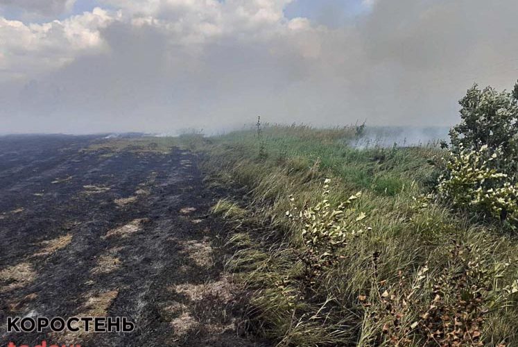 На Малинщині притягнули до адмінвідповідальності чоловіка за випалювання сухостою