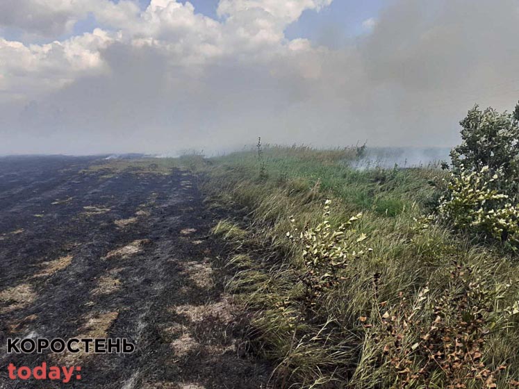 На Малинщині притягнули до адмінвідповідальності чоловіка за випалювання сухостою