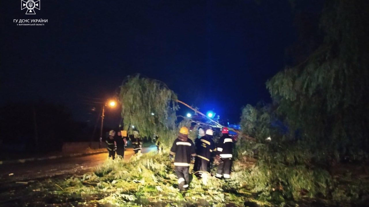 Негода в Коростенському районі знеструмила декілька населених пунктів та повалила дерева
