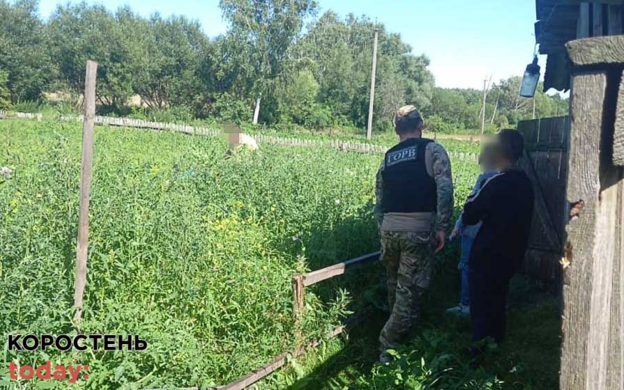 На Коростенщині прикордонники виявили понад 200 кущів маку