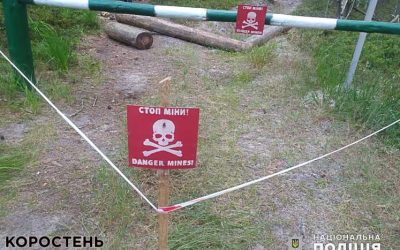 У лісі на Олевщині на міні підірвався автомобіль: водій загинув (ФОТО)