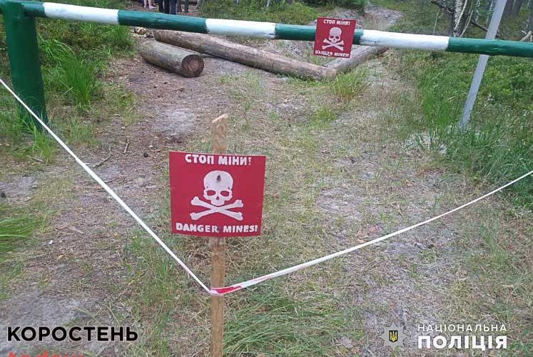 У лісі на Олевщині на міні підірвався автомобіль: водій загинув (ФОТО)