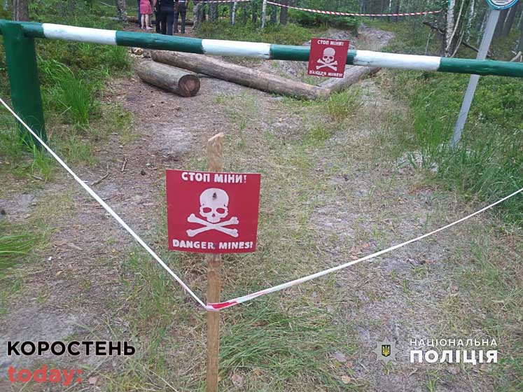 У лісі на Олевщині на міні підірвався автомобіль: водій загинув (ФОТО)