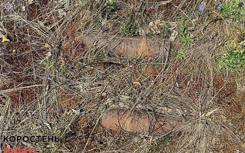 Поблизу одного з сіл Коростенщини чоловік, який зупинився відпочити, знайшов артснаряди