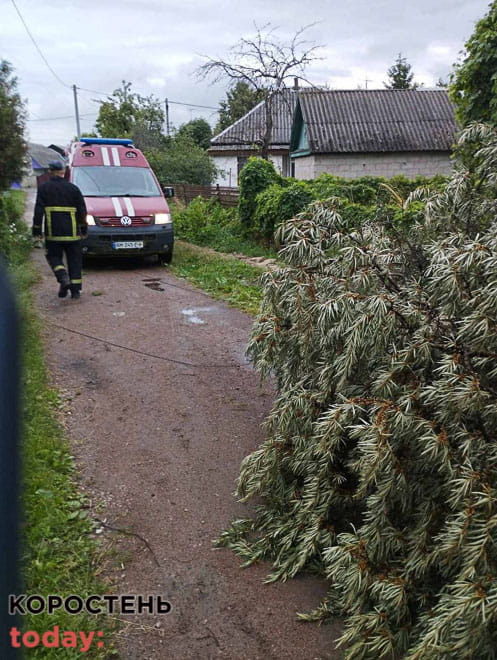 Коростенські рятувальники звільняли дороги від повалених дерев