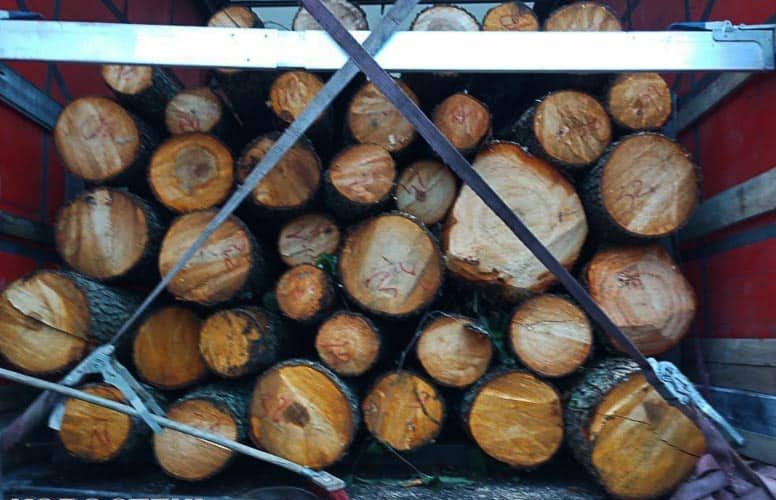 На території Малинської громади патрульні зупинили вантажівку з деревиною: водій з Рівненщини не мав документів на лісопродукцію