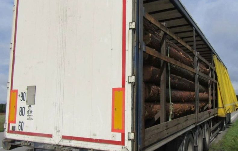 Поблизу Олевська поліцейські зупинили MAN з деревиною: водій з Рівненщини не мав супровідних документів