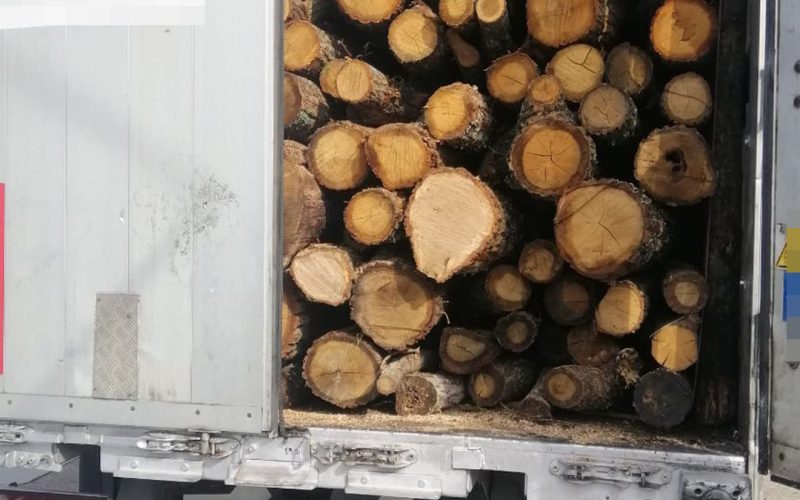 На Коростенщині патрульні зупиняли вантажівки з лісопродукцією: водії не мали необхідних документів на “товар”