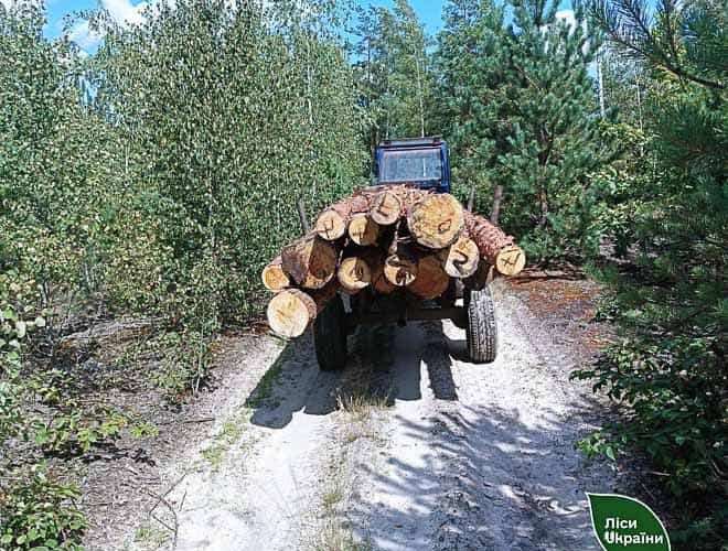 Лісівники спільно з прикордонниками викрили жителя Олевської громади, який без документів перевозив трактором соснові колоди