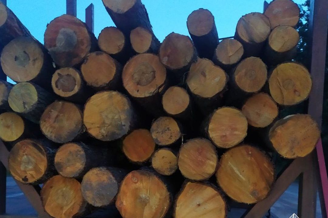 На Коростенщині патрульні зупинили дві вантажівки з нелегальним лісом