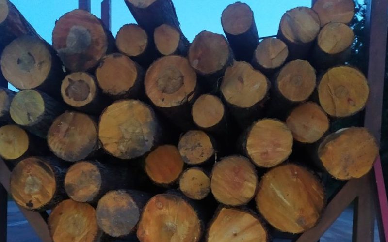 На Коростенщині патрульні зупинили дві вантажівки з нелегальним лісом