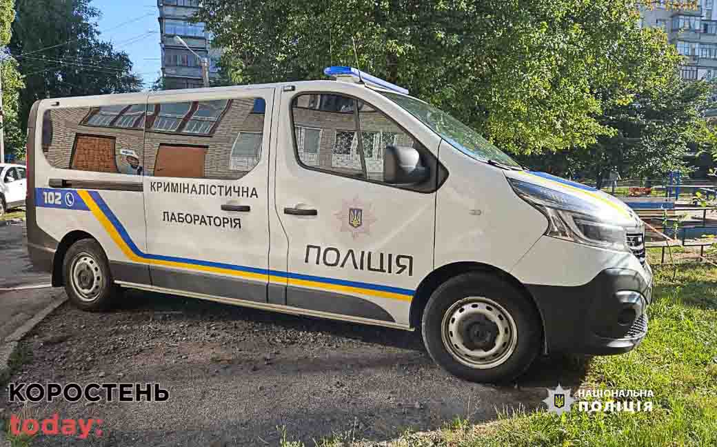 Розбійники з Житомирщини у Вінниці напали на рієлторку: жінку побили та зв’язали