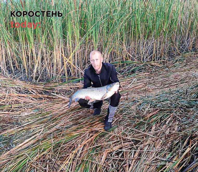 У Малині місцевий житель спіймав 10-кілограмового білого амура (ФОТО)
