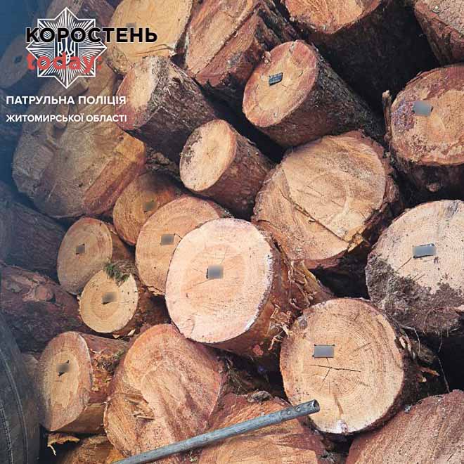 На трасі в Коростенському районі поліцейські зупинили вантажівку з деревиною: водій не мав належних документів на лісопродукцію