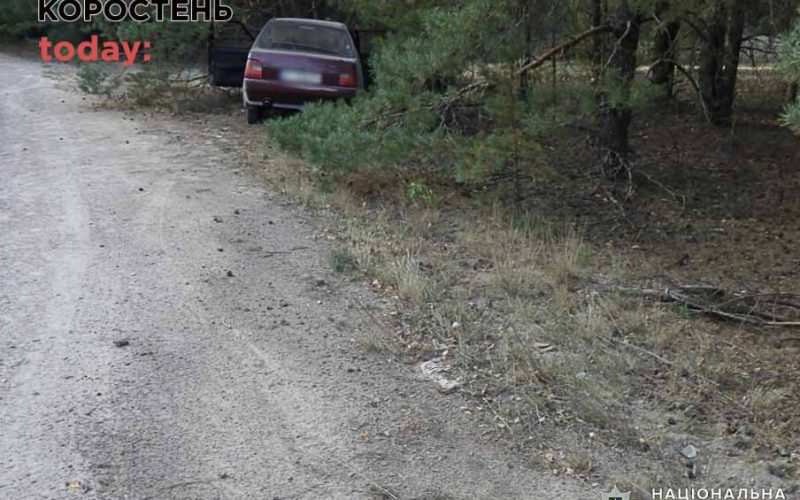 Між селами Народицької громади ЗАЗ врізався у дерево: двох травмованих госпіталізували