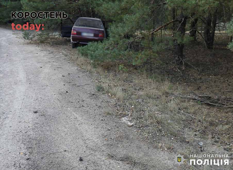 Між селами Народицької громади ЗАЗ врізався у дерево: двох травмованих госпіталізували