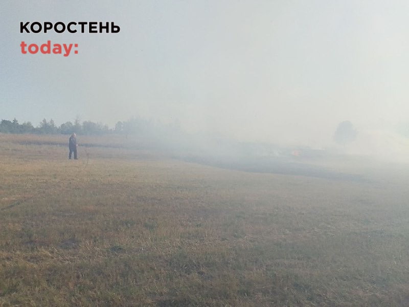 Коростенські рятувальники закликають людей перестати палити сухостій