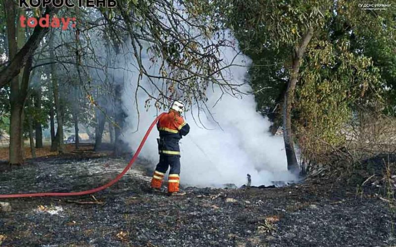 Неподалік житлових будинків у Коростені горіла суха трава: через вітряну погоду вогонь гасили більше 3 годин