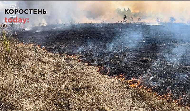 У Коростені рятувальники гасили вогонь, який наближався до гаражного кооперативу