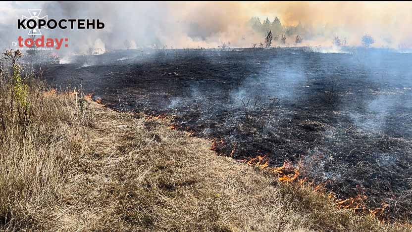 У Коростені рятувальники гасили вогонь, який наближався до гаражного кооперативу
