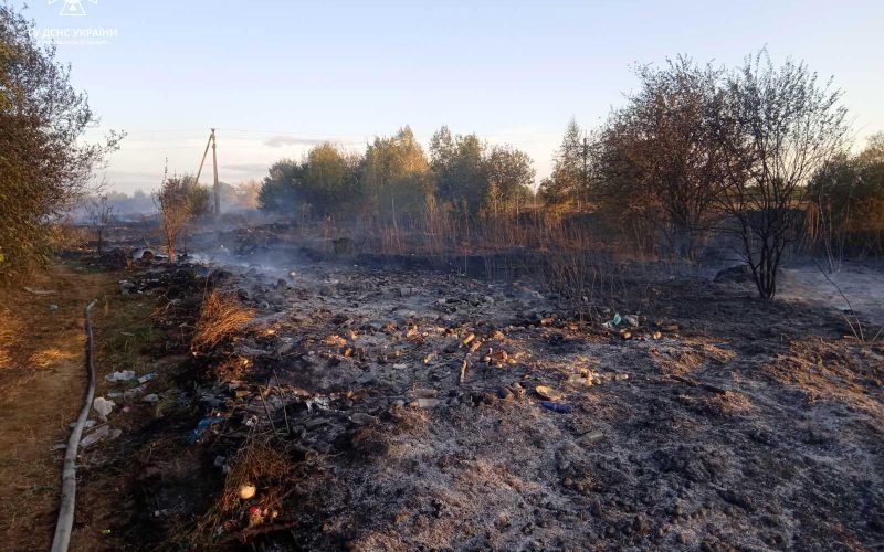 Біля Малина горіла суха трава: вогонь поступово наближався до будівель
