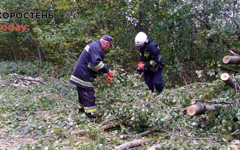 Через негоду Малинська громада залишилася без світла