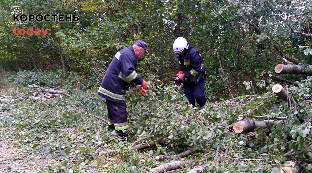 Через негоду Малинська громада залишилася без світла