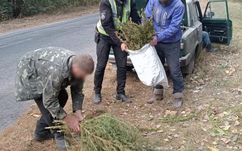 На Малинщині за порушення ПДР поліцейські зупинили ВАЗ: у багажнику виявили коноплі