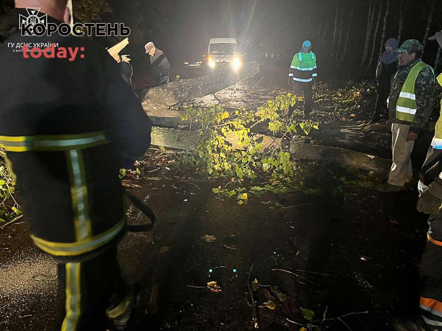 Після негоди рятувальники Коростенщини прибирали повалені дерева з автошляхів